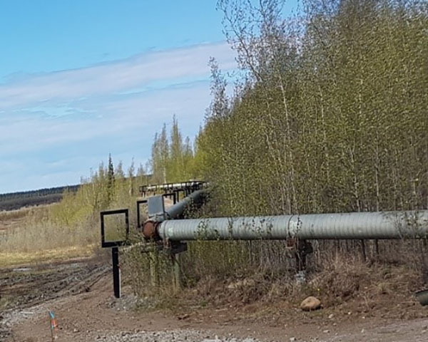 Cette photo montre un système utilidor remplacé à Inuvik, dans les Territoires du Nord-Ouest. Les tubes d’acier dotés de frettes « réglables » composant l’utilidor sont placés sur des structures,  pour éviter le contact avec le sol, à travers la végétation. A côté, on peut voir deux panneaux qui protègent les endroits où l’utilidor change de direction. Il y a aussi un marqueur bleu, rouge et orange placé en face de l’utilidor dans les herbes.