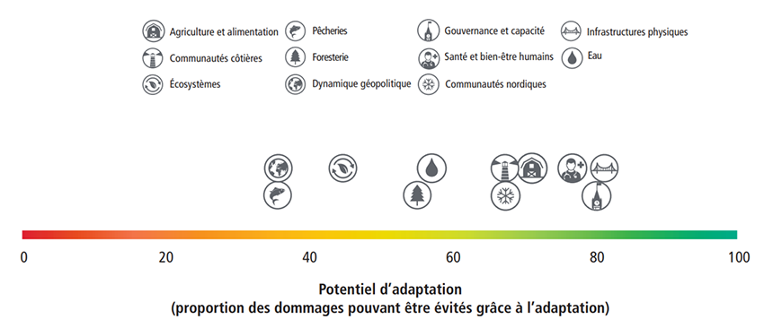 Potentiel d'adaptation