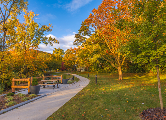Sentier sinueux traversant un parc, entouré des d'arbres aux vives couleurs automnales, et une table avec des bancs
