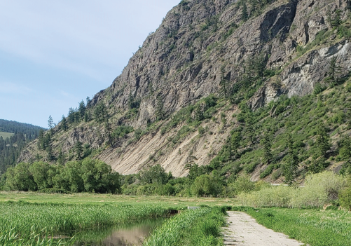 Un sentier à côté d'une zone humide et une montagne