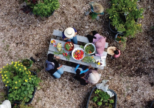 Les gens pique-niquent dans le jardin communautaire