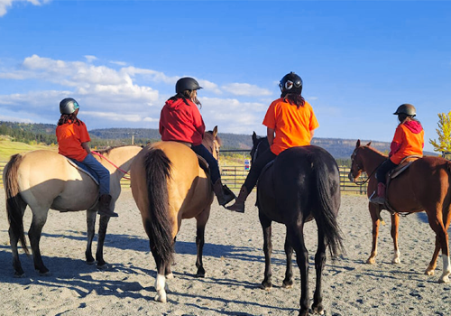 Quatre personnes à cheval sur un sentier.