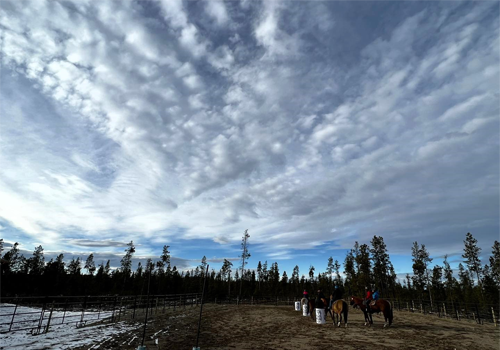 Vue aérienne de plusieurs bâtiments et ranchs entourés d’arbres.