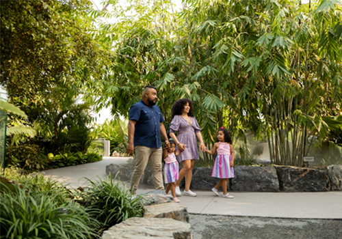 Une famille se promenant dans un biome.