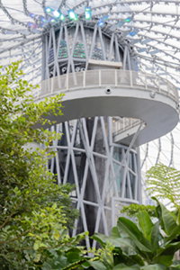 Une chute d’eau intérieure dans un biome tropical.