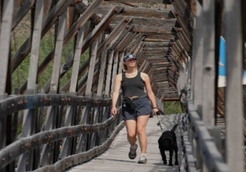 Une personne marche avec un chien noir en laisse sur un pont en bois.